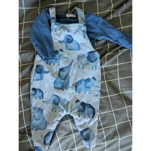 Next Elephant Outfit